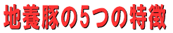 n{؂5̓